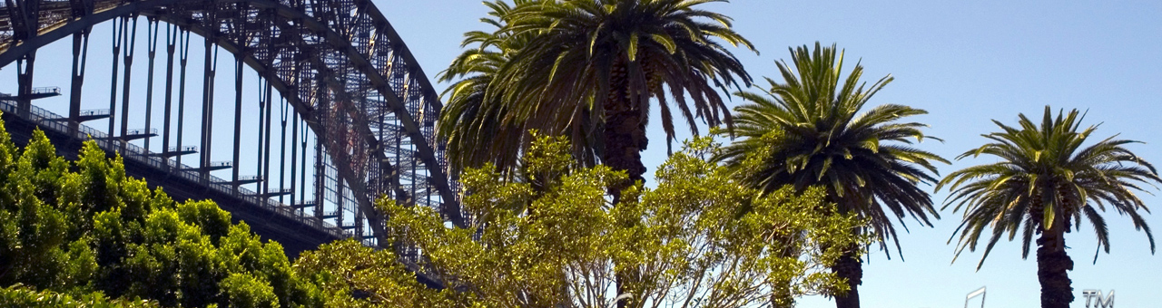 激动人心且震撼的接码短信平台